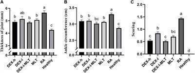 Melittin promotes dexamethasone in the treatment of adjuvant rheumatoid arthritis in rats